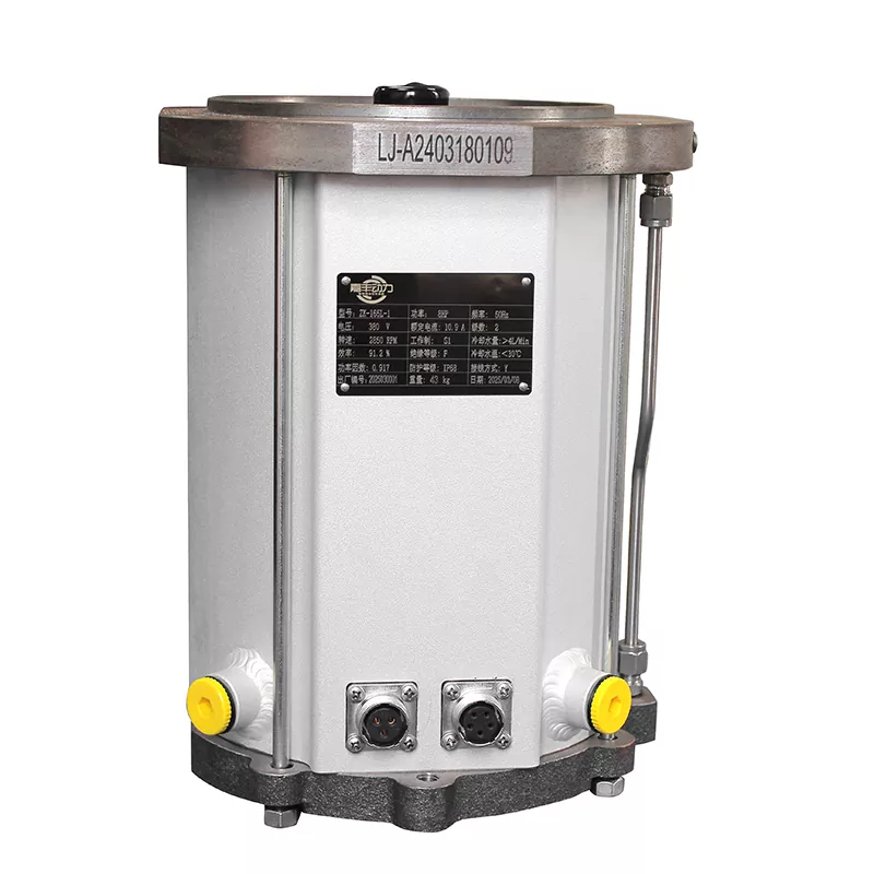 Screw Vacuum Pump Motor